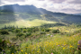 You surrounded by Grazalema Natural Park